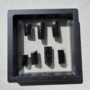 Black Tourmaline Crystals Lot in Display Case - 25 grams